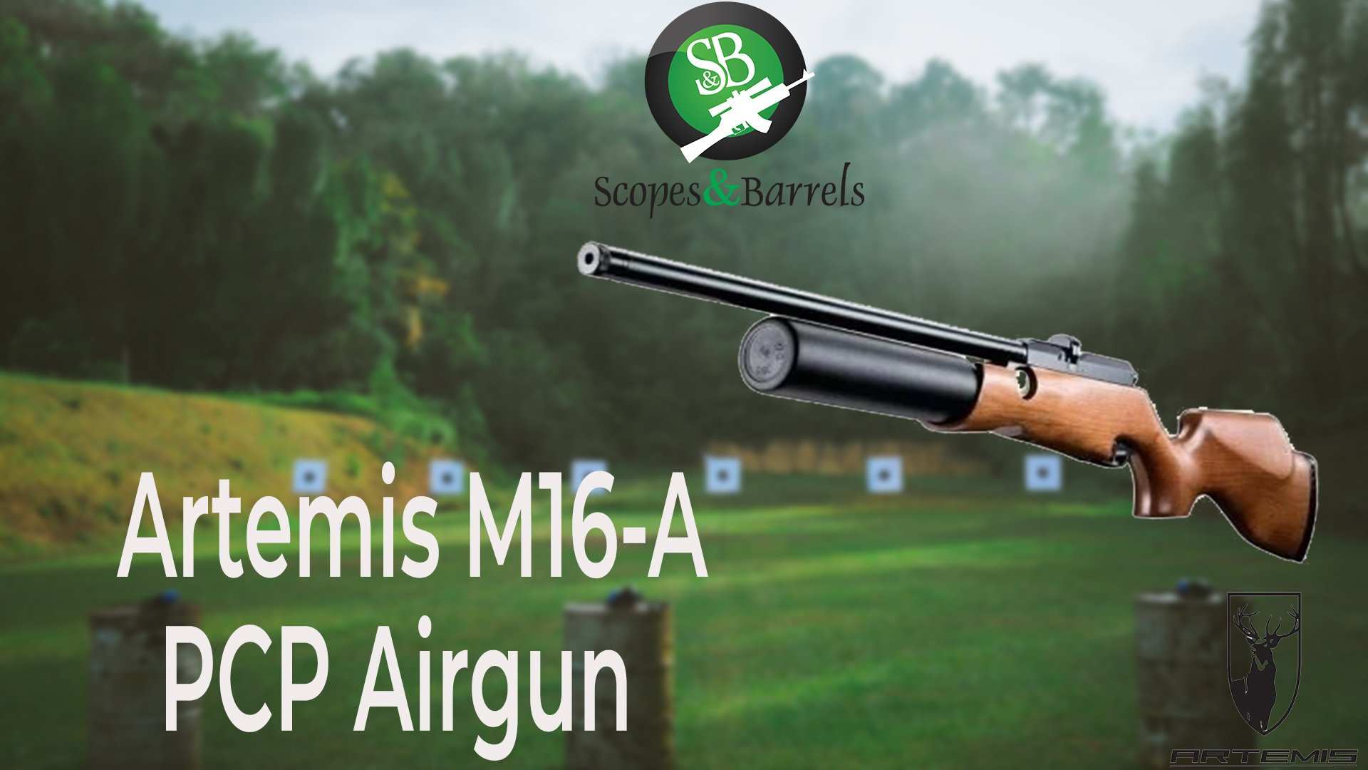Artemis M16-A PCP Airgun. A Great option for demanding Snipers. - Scopes and Barrels
