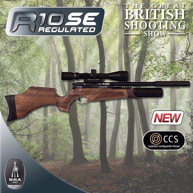 BSA R10 Se Walnut Vs Artemis M16_A Vs FX Royale 400 (Walnut). A Brief ...