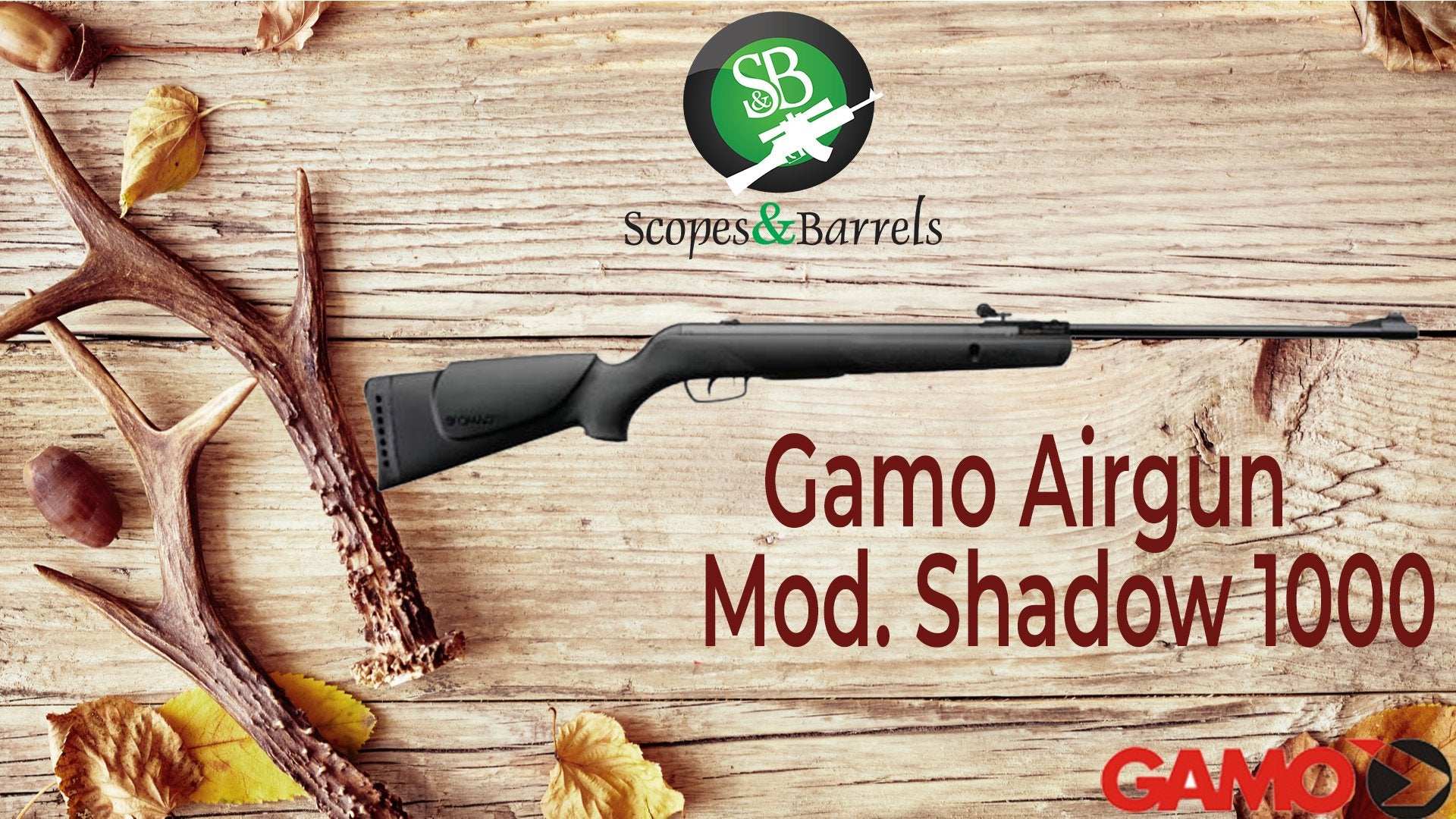 Blog: Gamo Shadow 1000 Break Barrel Airgun (.22 Cal ) - Scopes and Barrels