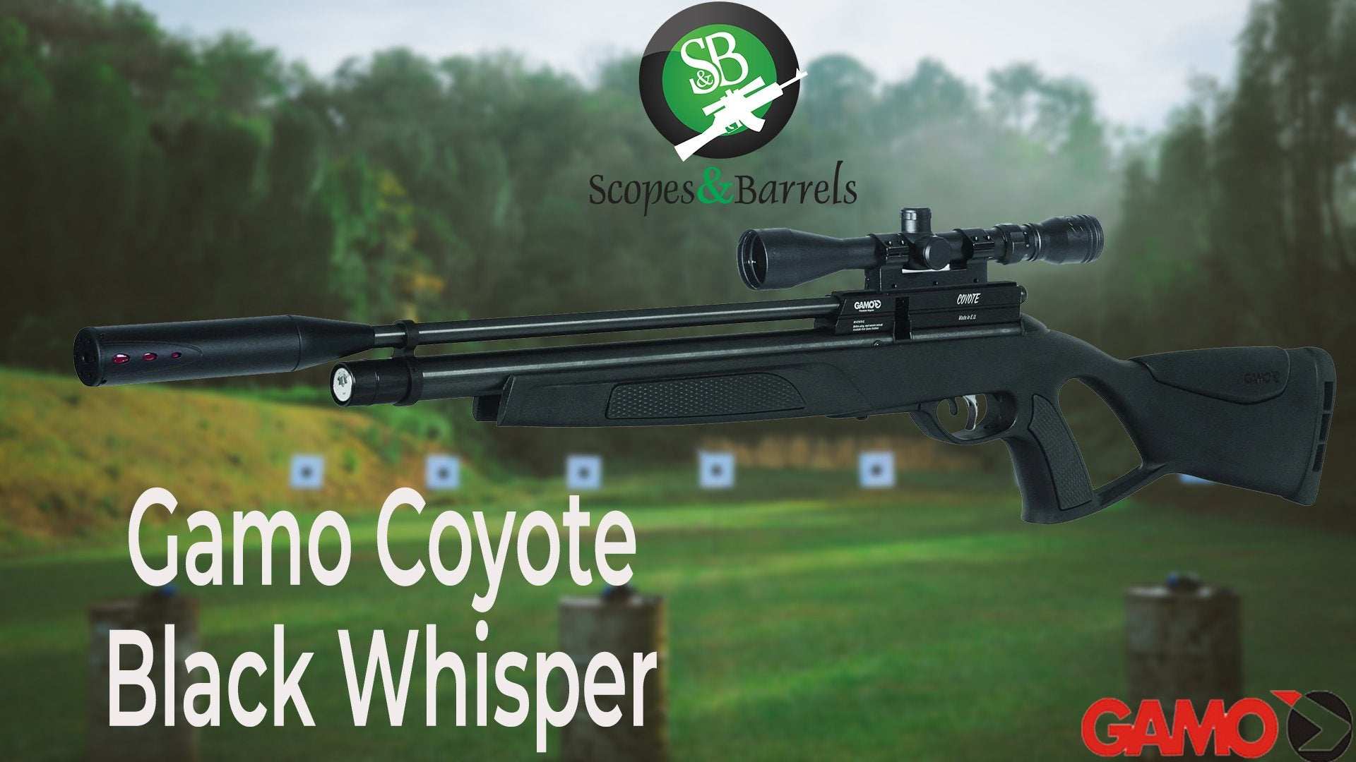 Blog: Gamo Coyote Black Whisper  PCP Airgun .22 Cal - Scopes and Barrels